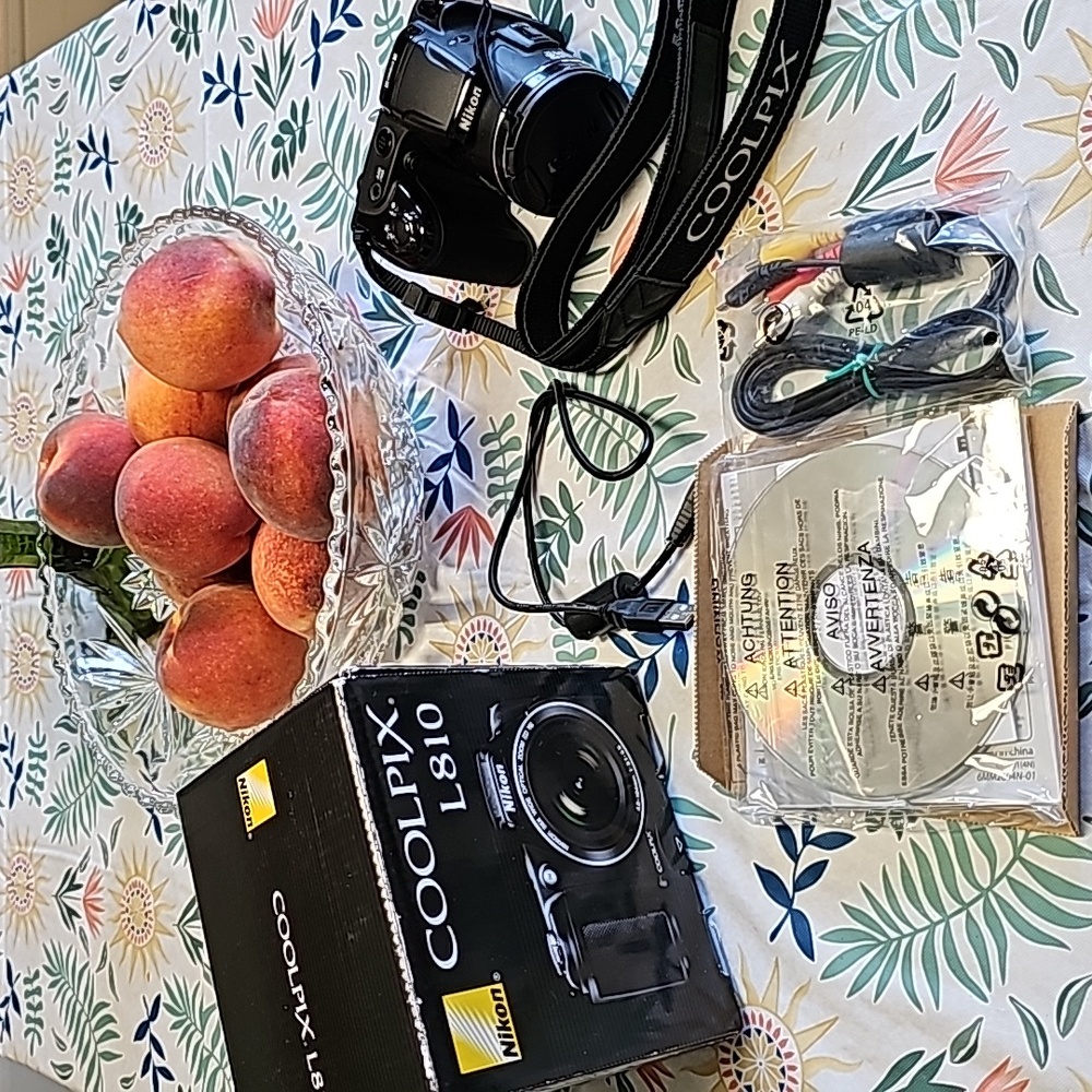 Nikon Coolpix L810 Compact Camera